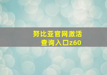 努比亚官网激活查询入口z60