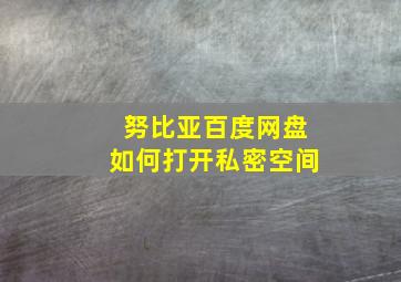 努比亚百度网盘如何打开私密空间