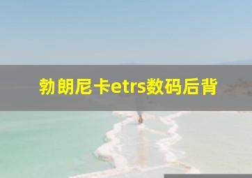 勃朗尼卡etrs数码后背