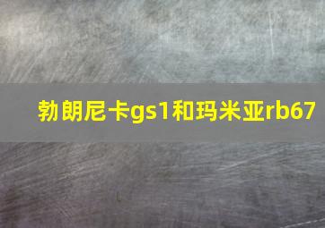 勃朗尼卡gs1和玛米亚rb67