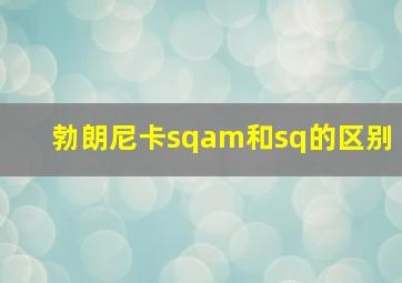 勃朗尼卡sqam和sq的区别