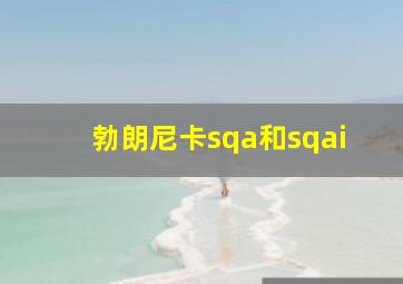 勃朗尼卡sqa和sqai