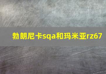 勃朗尼卡sqa和玛米亚rz67