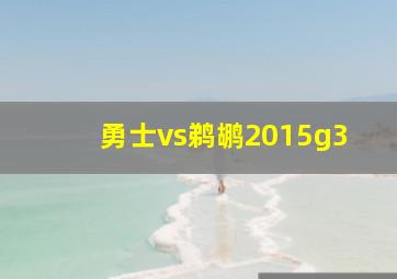 勇士vs鹈鹕2015g3