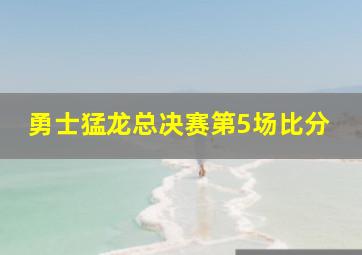 勇士猛龙总决赛第5场比分