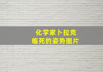 化学家卜拉克临死的姿势图片