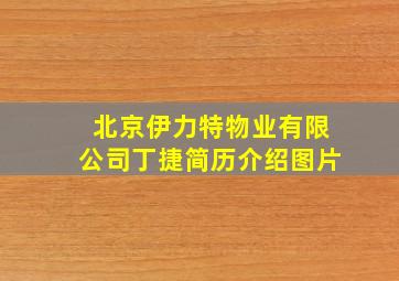 北京伊力特物业有限公司丁捷简历介绍图片