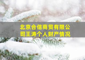 北京合信商贸有限公司王涛个人财产情况