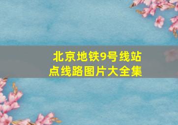 北京地铁9号线站点线路图片大全集