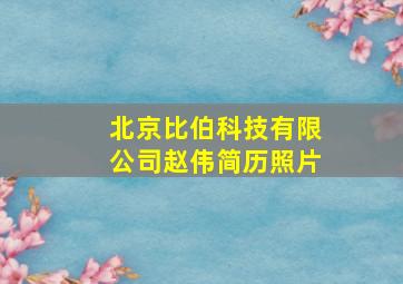 北京比伯科技有限公司赵伟简历照片