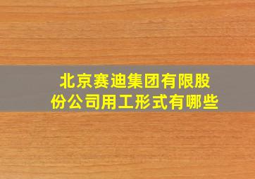 北京赛迪集团有限股份公司用工形式有哪些