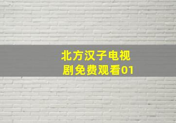 北方汉子电视剧免费观看01