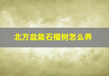 北方盆栽石榴树怎么养