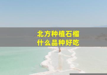 北方种植石榴什么品种好吃