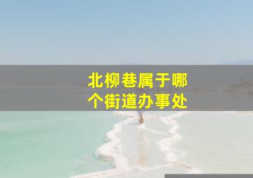 北柳巷属于哪个街道办事处