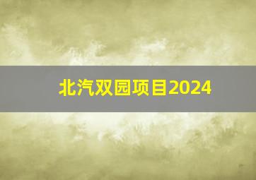 北汽双园项目2024