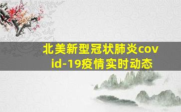 北美新型冠状肺炎covid-19疫情实时动态