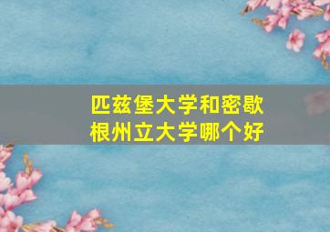 匹兹堡大学和密歇根州立大学哪个好