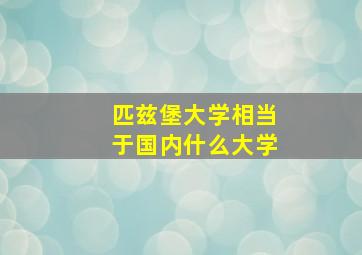 匹兹堡大学相当于国内什么大学