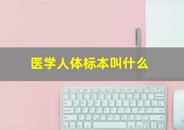 医学人体标本叫什么