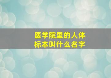 医学院里的人体标本叫什么名字