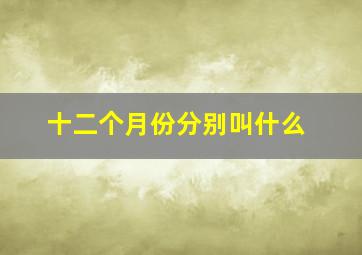 十二个月份分别叫什么