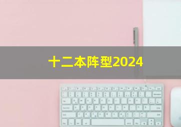 十二本阵型2024