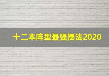 十二本阵型最强摆法2020