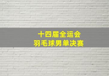 十四届全运会羽毛球男单决赛