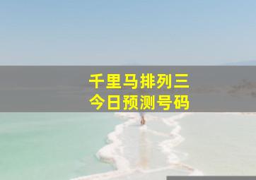 千里马排列三今日预测号码