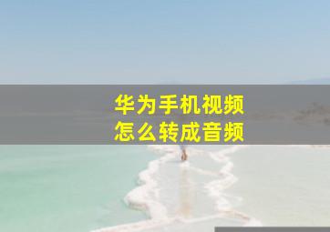 华为手机视频怎么转成音频