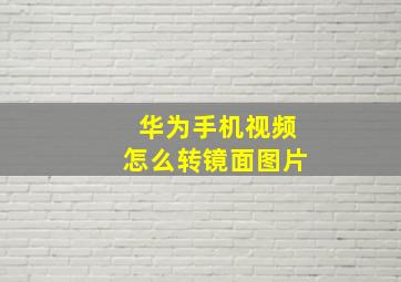 华为手机视频怎么转镜面图片