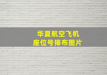 华夏航空飞机座位号排布图片