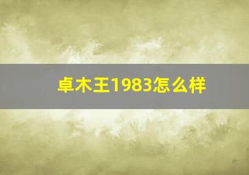 卓木王1983怎么样