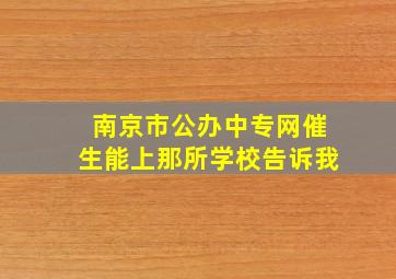 南京市公办中专网催生能上那所学校告诉我