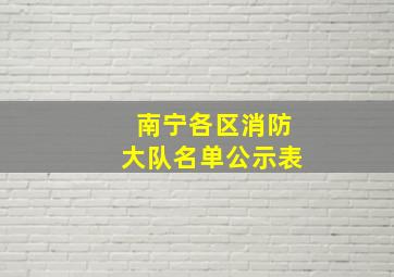 南宁各区消防大队名单公示表