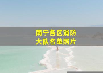 南宁各区消防大队名单照片