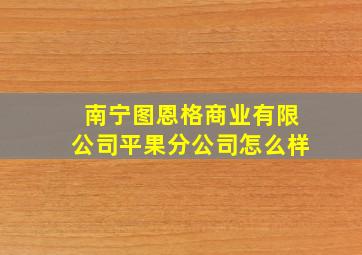 南宁图恩格商业有限公司平果分公司怎么样