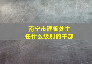 南宁市建管处主任什么级别的干部