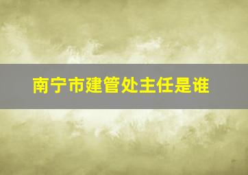 南宁市建管处主任是谁