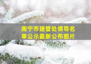 南宁市建管处领导名单公示最新公布图片