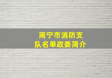 南宁市消防支队名单政委简介