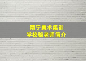 南宁美术集训学校骆老师简介