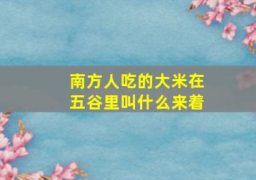 南方人吃的大米在五谷里叫什么来着