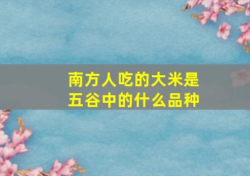 南方人吃的大米是五谷中的什么品种