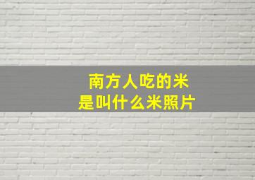 南方人吃的米是叫什么米照片