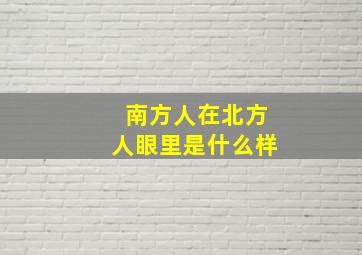 南方人在北方人眼里是什么样