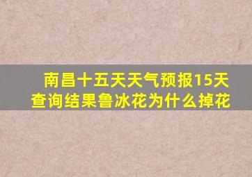 南昌十五天天气预报15天查询结果鲁冰花为什么掉花