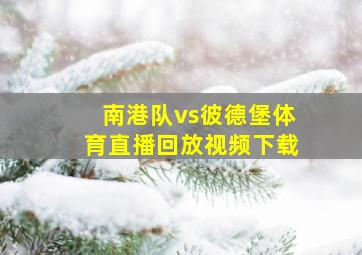 南港队vs彼德堡体育直播回放视频下载