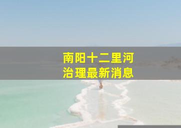 南阳十二里河治理最新消息